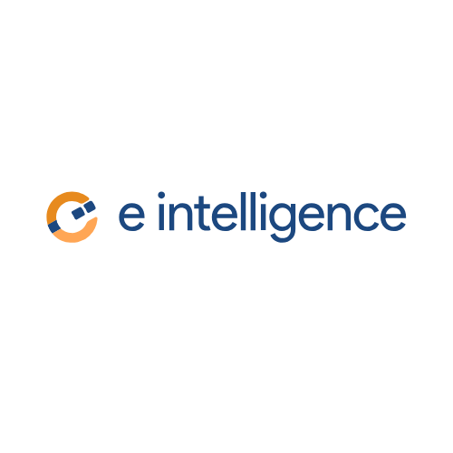  SEO Company | Expert SEO Services by e intelligence