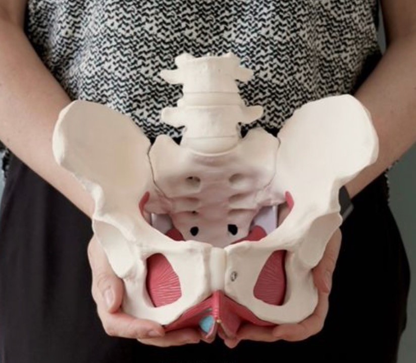  Pelvic Floor Physiotherapy Oakville
