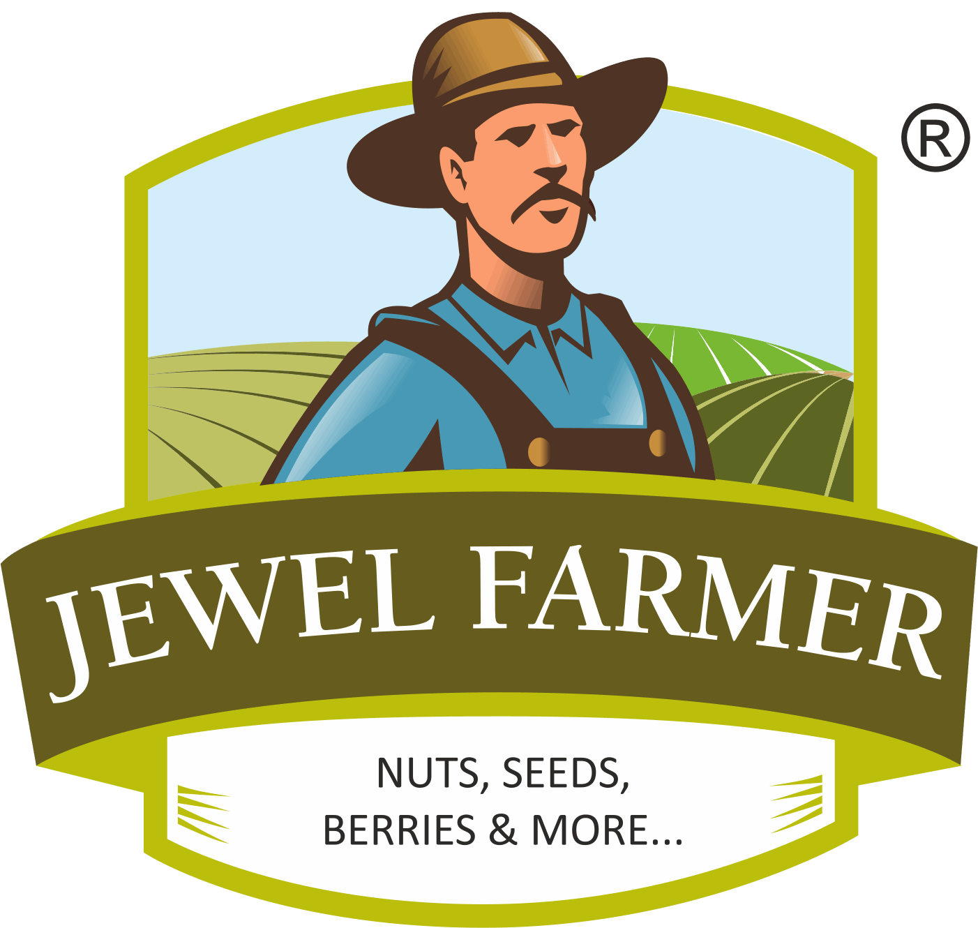  Premium Dry Fruits Online at best Price in India | Jewel Farmer
