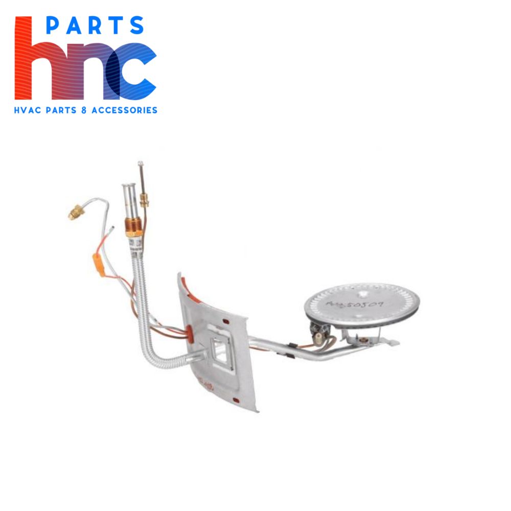  Rheem-Ruud AM50509 Burner/Door Assembly