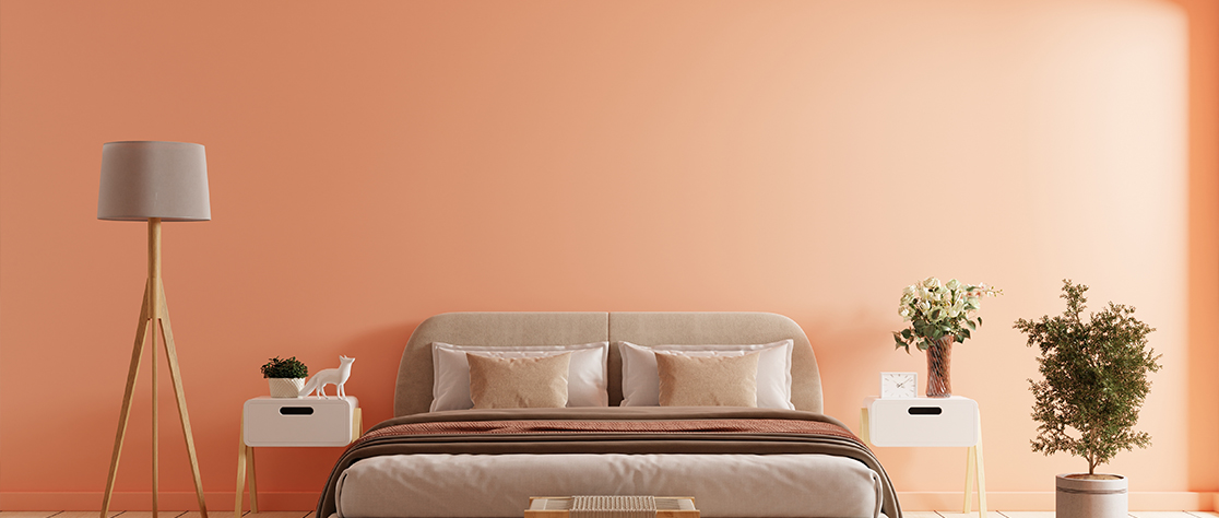 Wall Distemper Colour Combination Ideas for Beautiful Homes
