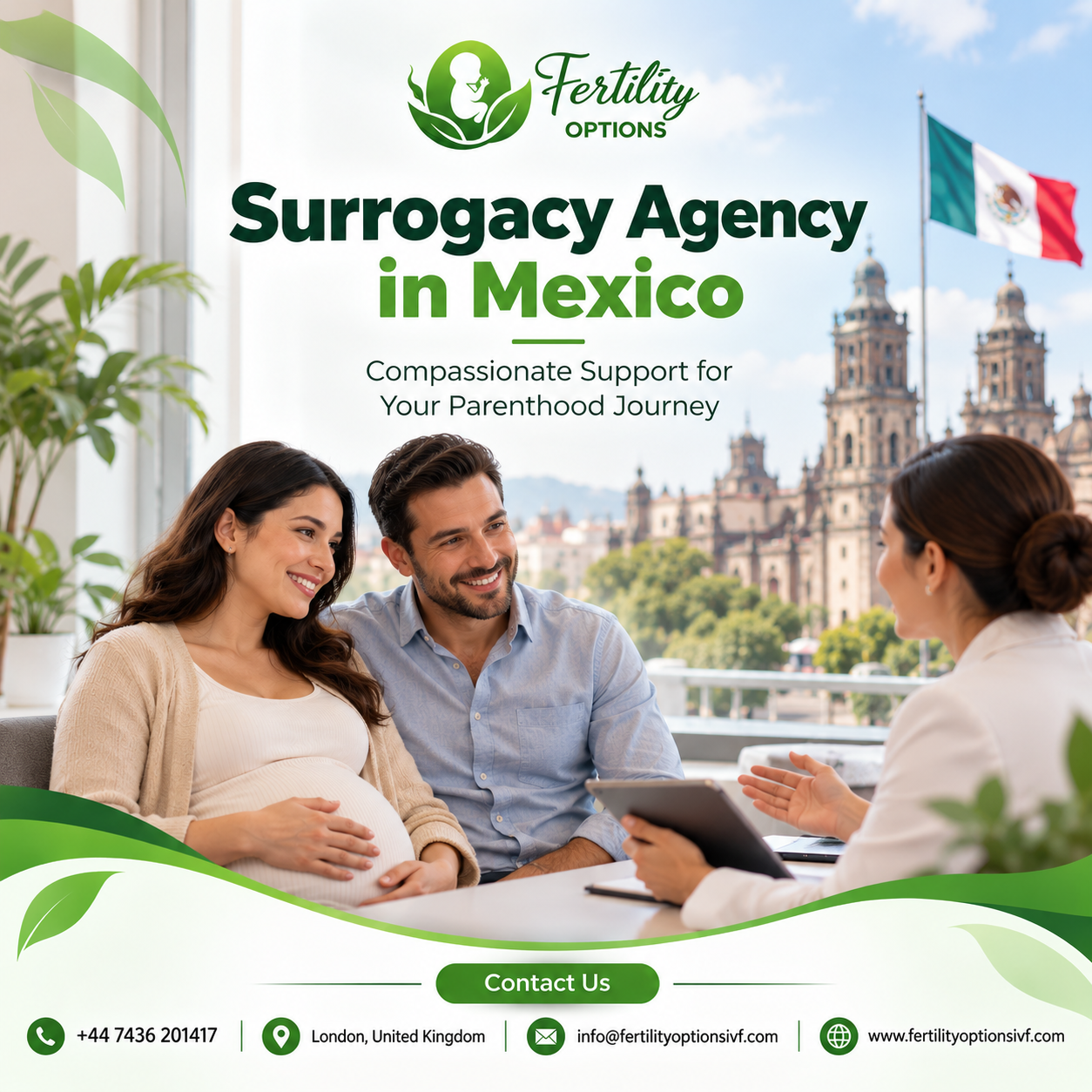 Understanding Agency Coordination and Surrogacy Arrangements in Mexico