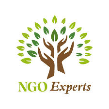  NGOExperts