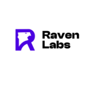  Digital Marketing Company Melbourne - Raven Labs