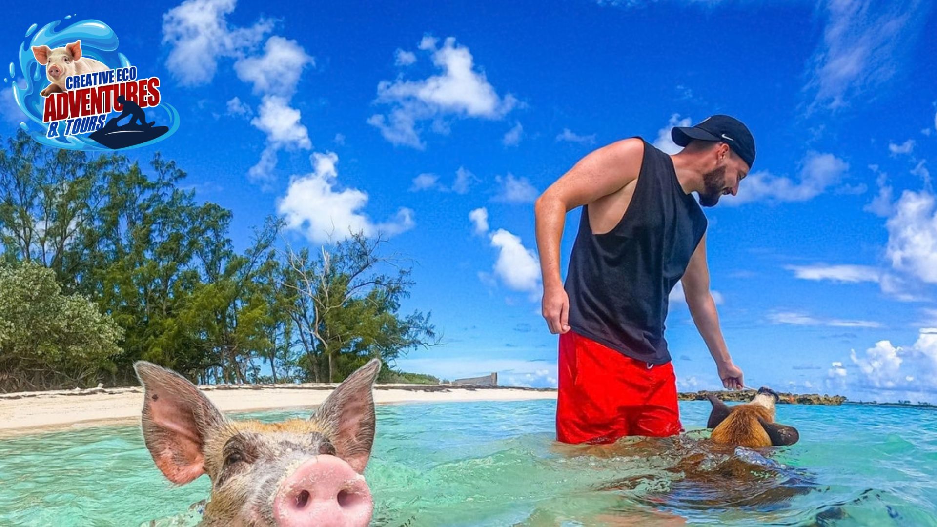  Enjoy Tropical Adventures And Freeport With Swimming Pigs