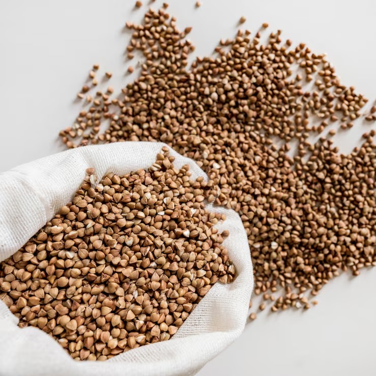  Coriander Seeds Wholesale in USA: Bulk Sourcing for Commercial Buyers