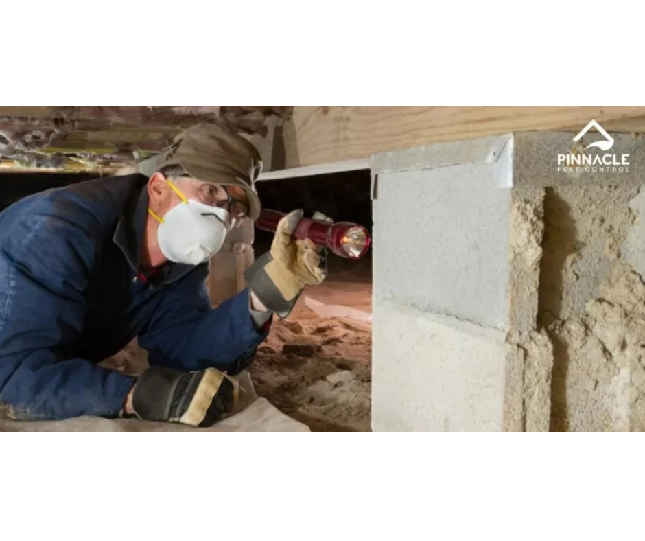  Looking For Reliable Pest Control In Roseville? Get Professional Help