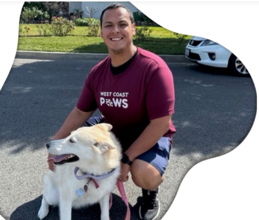  Find a West Hollywood Pet Sitter | West Coast Paws