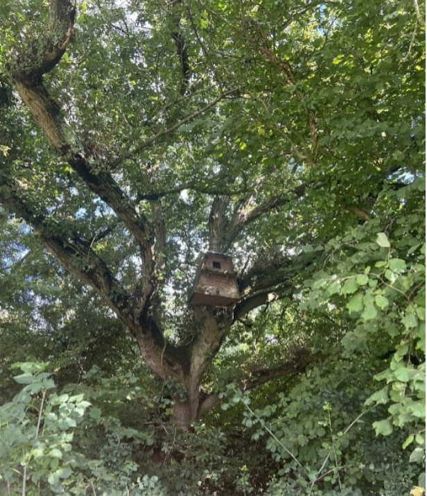  Southend Farm Wildlife Map