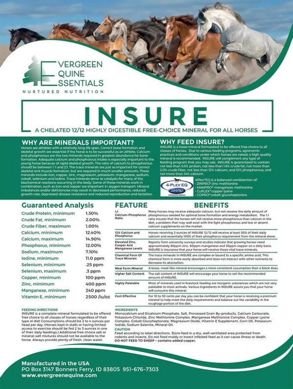  Best Bone Supplement for Horses | Chelated 12-12 Mineral - EverGreen Equine