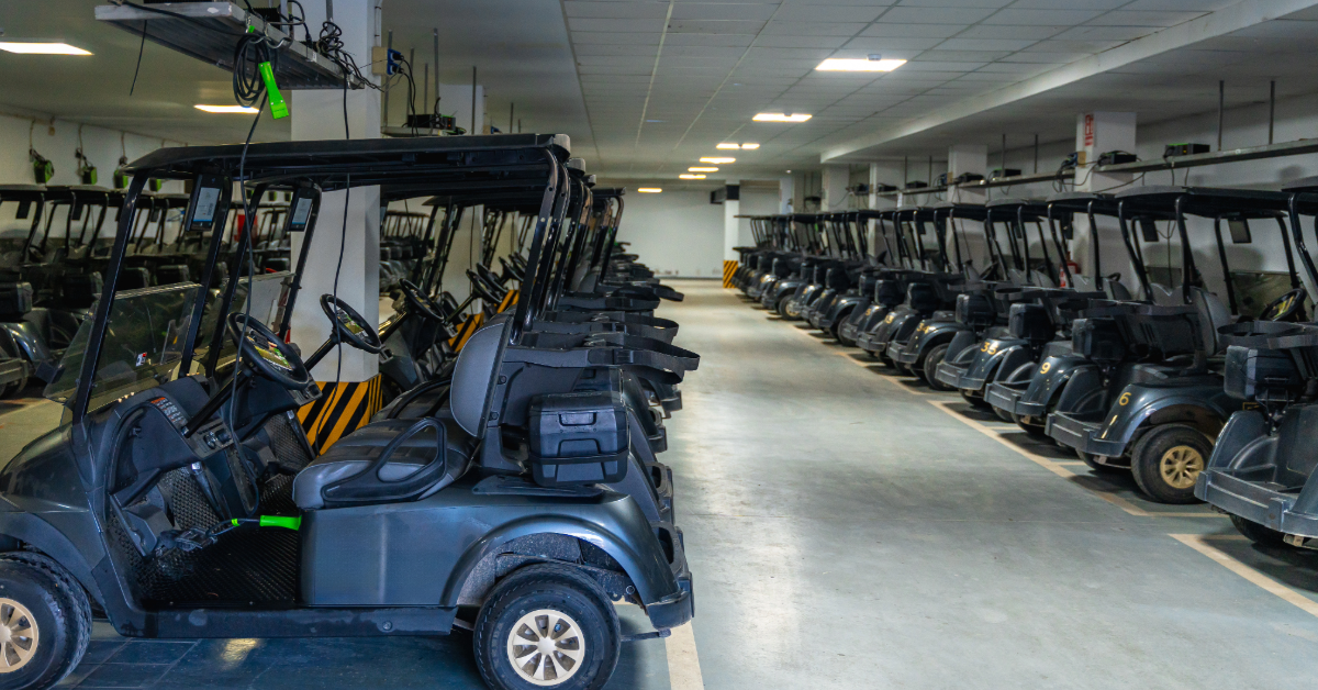  Affordable Golf Carts Lakeland – Sales, Rentals & Service