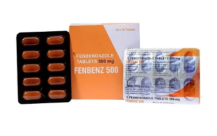  Choosing the Right Fenbendazole Tablets