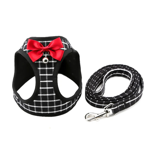  Cat Harness And Leash | Dog Harness & Dog Friendly Harness