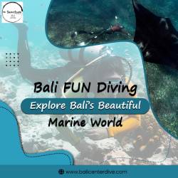  Bali FUN Diving – Explore Bali’s Beautiful Marine World