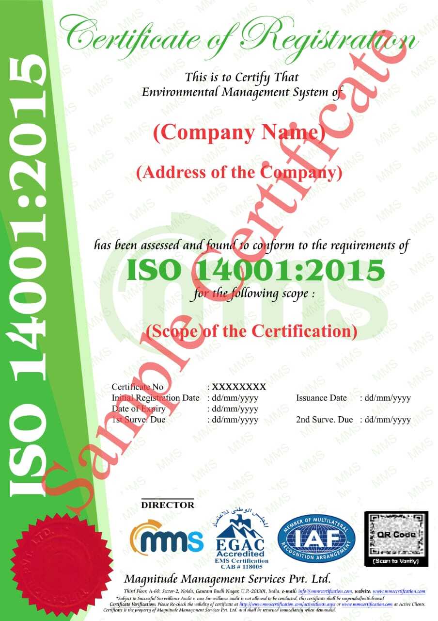  Discover ISO 14001 Certification Benefits with MMS LLC