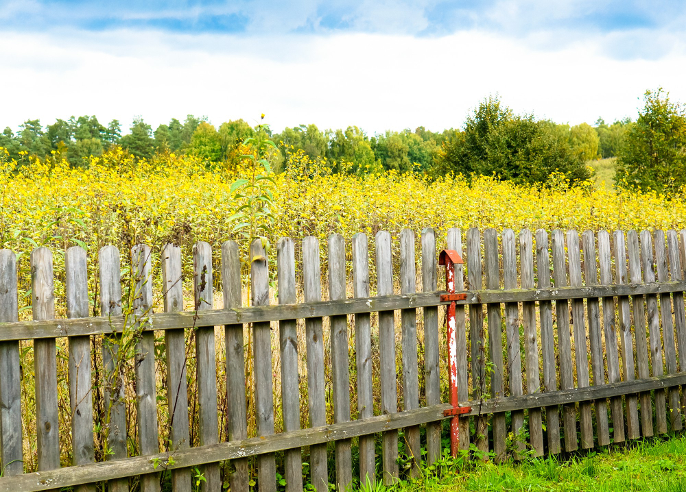 Restore Your Property With a Reliable Fence Repair Contractor