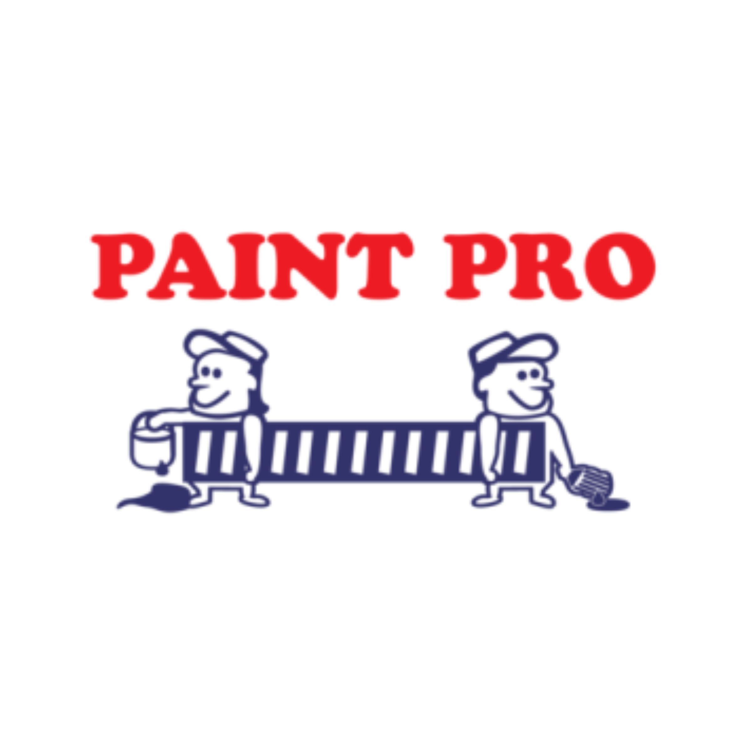 Paint Pro Inc.