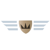 Platinum Luxury Chauffeur