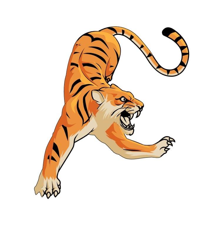 Pillai Technology Solutions Inc.