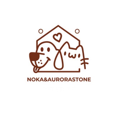 NoKa & AuroraStone