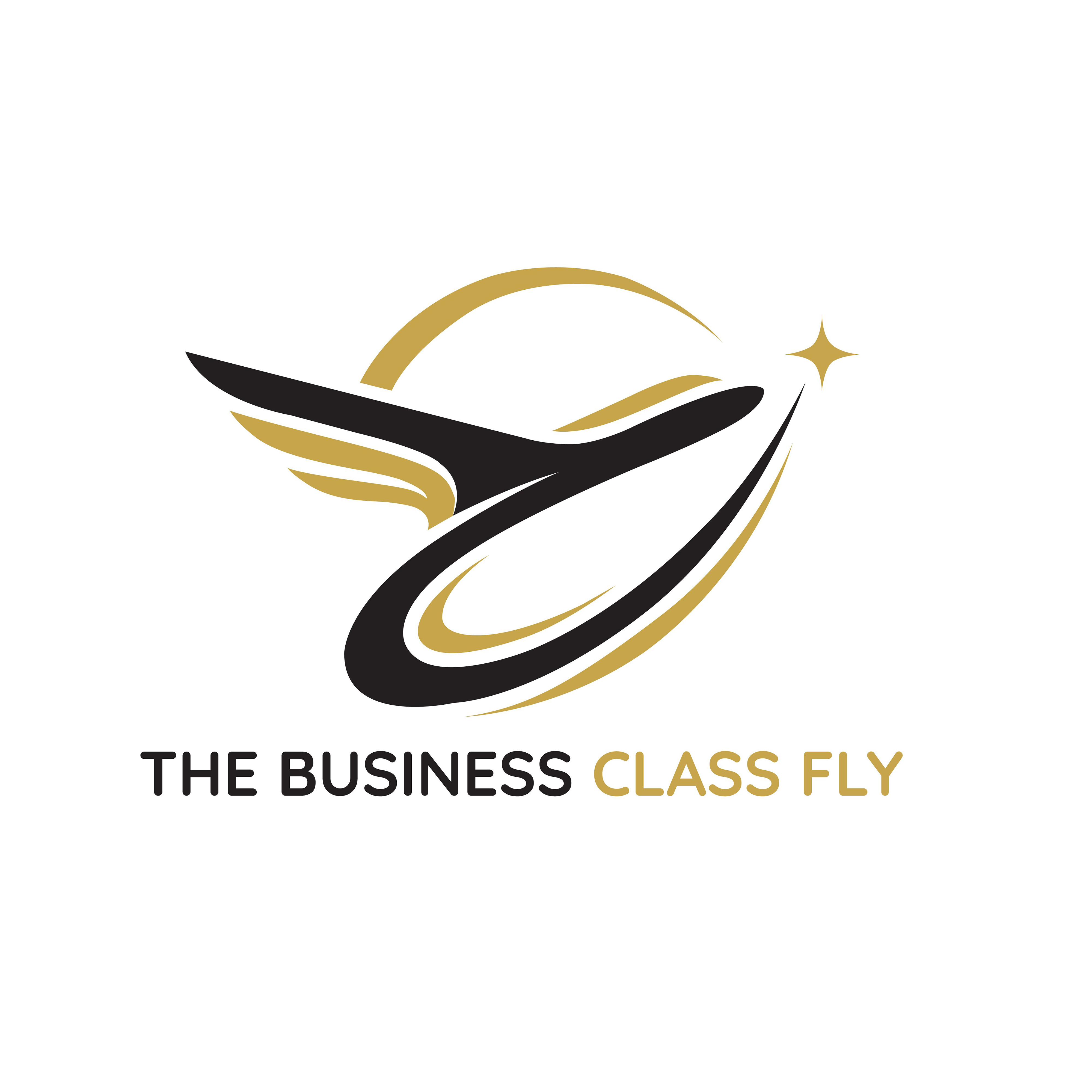 Thebusinessclassfly